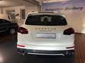 Porsche Cayenne GTS Pano AHK Kamera Memory Bose Alcantara Weiß - thumbnail 20