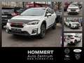 Subaru XV 2.0 Active AWD *Kamera* Weiß - thumbnail 1