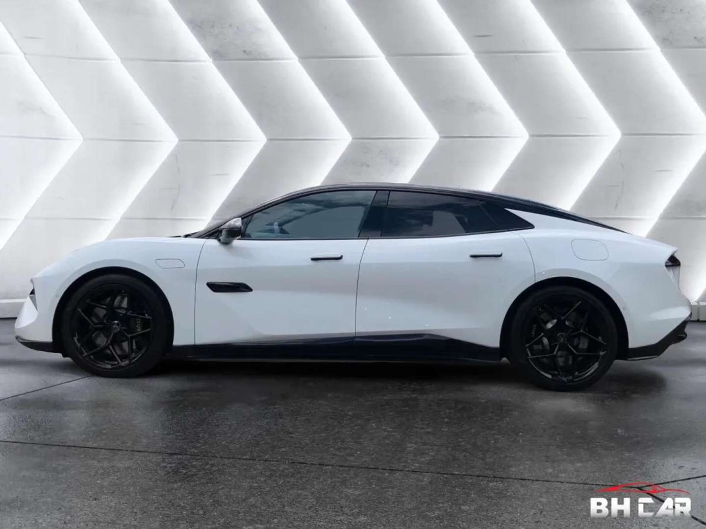 Lotus Emeya -  - Joinsteer - #5