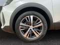 Peugeot 5008 PureTech 130 Allure Pack *7-Si*360°*Navi*SHZ* Blanc - thumbnail 22