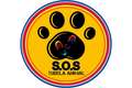 Opel Astra ST 1.6CDTi S/S Business 136 Brun - thumbnail 25