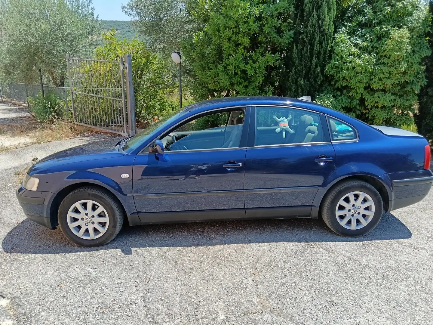 Volkswagen Passat 1.9 TDI 4Motion - 2