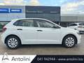 Volkswagen Polo 1.0 EVO 80 CV 5p. Trendline BlueMotion Technology Bianco - thumbnail 1