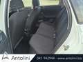 Volkswagen Polo 1.0 EVO 80 CV 5p. Trendline BlueMotion Technology Bianco - thumbnail 11
