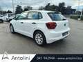 Volkswagen Polo 1.0 EVO 80 CV 5p. Trendline BlueMotion Technology Bianco - thumbnail 7