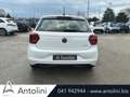 Volkswagen Polo 1.0 EVO 80 CV 5p. Trendline BlueMotion Technology Bianco - thumbnail 8