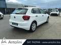 Volkswagen Polo 1.0 EVO 80 CV 5p. Trendline BlueMotion Technology Bianco - thumbnail 9
