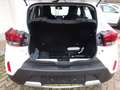 Dacia Spring Comfort Plus Navigation Weiß - thumbnail 5