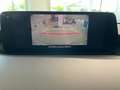 Mazda 3 Mazda 3 2.5L MT m-hybrid 140cv CENTR-LINE NUOVA Bianco - thumbnail 13