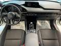 Mazda 3 Mazda 3 2.5L MT m-hybrid 140cv CENTR-LINE NUOVA Bianco - thumbnail 9