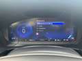 Ford Kuga 2,0EcoBlue 150 PS ATG 4x4 Titanium Blanc - thumbnail 11