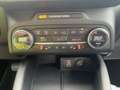 Ford Kuga 2,0EcoBlue 150 PS ATG 4x4 Titanium Blanc - thumbnail 13