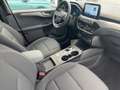 Ford Kuga 2,0EcoBlue 150 PS ATG 4x4 Titanium Blanc - thumbnail 7