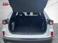 Ford Kuga 2,0EcoBlue 150 PS ATG 4x4 Titanium Blanc - thumbnail 5
