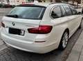 BMW 525 5er Touring Diesel 525d xDrive Touring Sport-Aut. Blanco - thumbnail 3