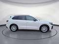 Volkswagen Touareg TDI R-Line AHK IQ.Drive HUD Dynaudio ACC Blanc - thumbnail 6