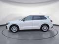 Volkswagen Touareg TDI R-Line AHK IQ.Drive HUD Dynaudio ACC Blanc - thumbnail 3
