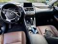 Lexus NX 300h NX 300h Executive-Line Schwarz - thumbnail 10