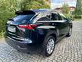 Lexus NX 300h NX 300h Executive-Line Schwarz - thumbnail 6