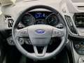Ford Grand C-Max Titanium Сірий - thumbnail 12