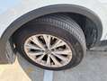 Volkswagen Tiguan 2.0TDI Edition 110kW Blanco - thumbnail 8