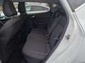 Ford Fiesta 1.0 EcoBoost Titanium,Navigatie,Stuurverwarming,St Wit - thumbnail 20
