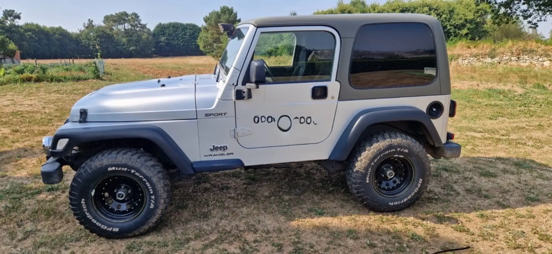 Jeep Wrangler 4.0 Sport Techo Duro Argent - 2