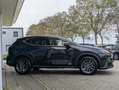 Lexus NX 450h+ AWD Luxury Line Plug-in | Stoel- stuurverwarming | Zwart - thumbnail 4