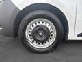 Renault Kangoo KANGOO VAN/3 PL/CAM/BOITE AUTO EDC/PANNEAU SOLAIRE Wit - thumbnail 17