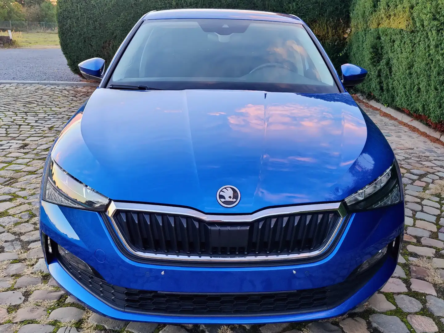 Skoda Scala Scala 1.0 TSI Ambition Blauw - 2