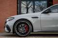 Mercedes-Benz E 53 AMG 4MATIC+ Achterasbesturing Panorama Trekhaak Gris - thumbnail 36