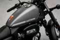 Motron Revolver 125 sofort lieferbar, Lieferservice Gris - thumbnail 15