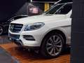 Mercedes-Benz ML 350 350BlueTec 4M 7G Plus Blanc - thumbnail 6