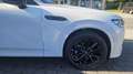 Mazda CX-60 als Homura Plus Modell 2025 Weiß - thumbnail 9
