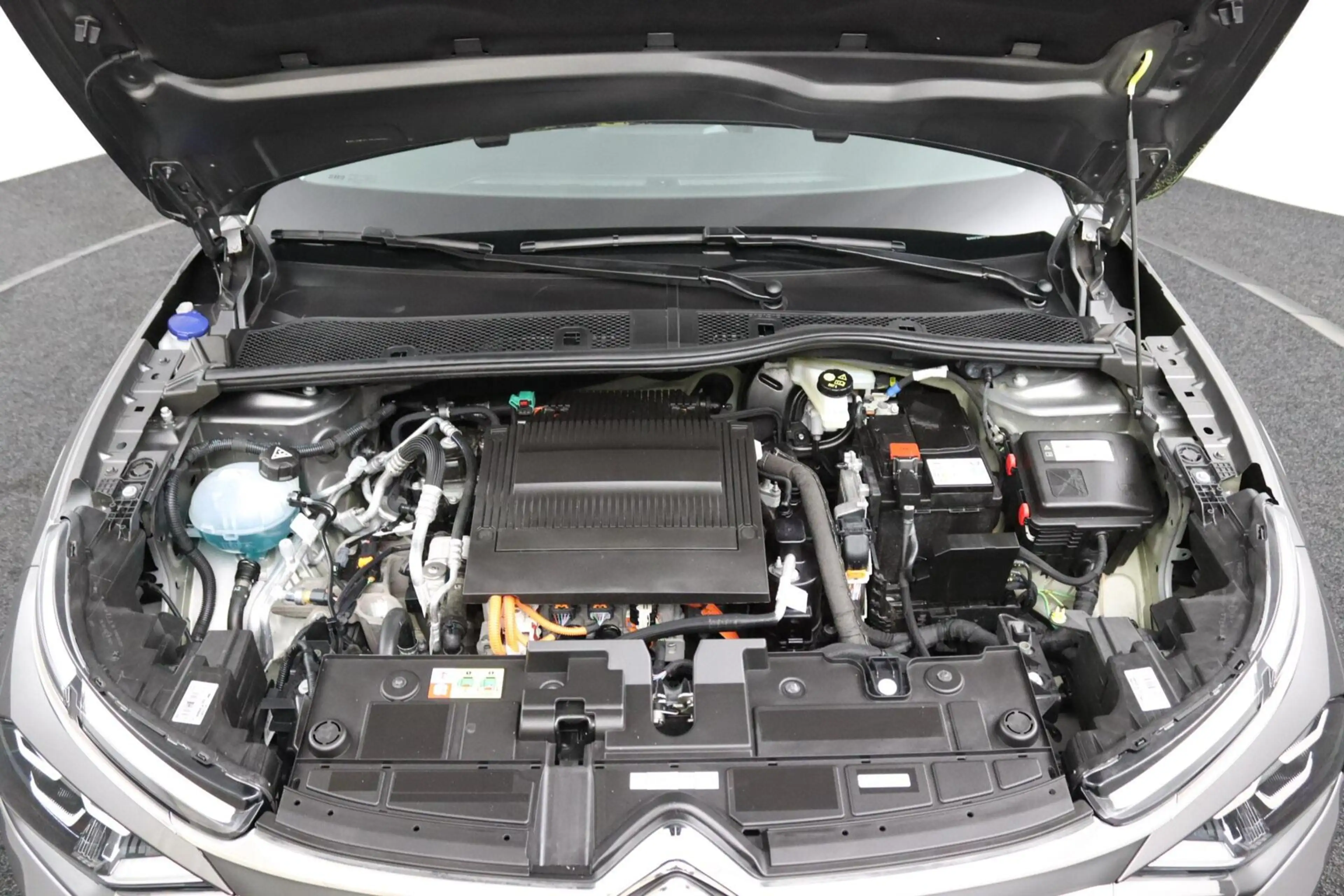 Citroen E-C4 Electric You 50 kWh — photo 32