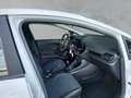 Ford Fiesta Trend 1.0 *SHZ*Klima**Winterpaket*SHA* LED DAB Weiß - thumbnail 12