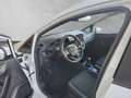 Ford Fiesta Trend 1.0 *SHZ*Klima**Winterpaket*SHA* LED DAB Weiß - thumbnail 8