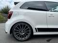 Volkswagen Polo R WRC 2,0 - thumbnail 6
