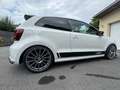 Volkswagen Polo R WRC 2,0 - thumbnail 5