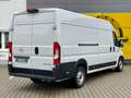 Opel Movano Kasten L4H2 3.5T FACELIFT *NAVIGATION*R-KAMERA* Blanc - thumbnail 3