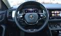 Skoda Kodiaq Kodiaq 2,0 TDI 4x4 DSG LED AHV VIRTUAL KAMERA SHZ LR-HZ Grau - thumbnail 8