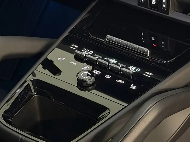 Porsche Cayenne view 13