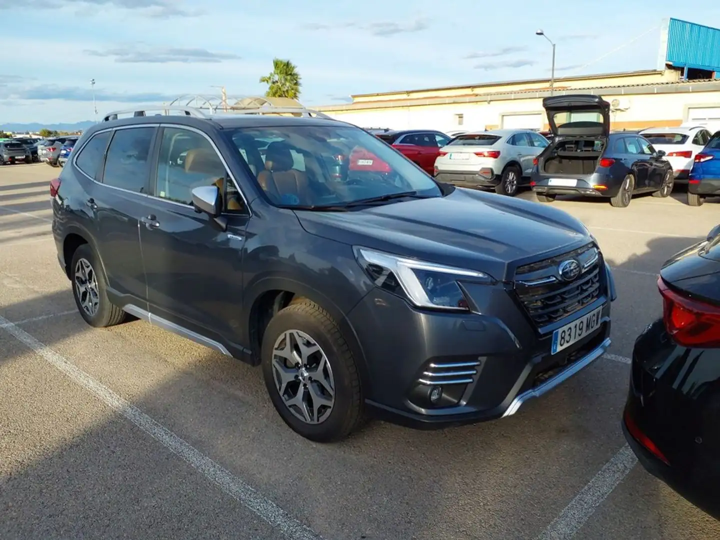 Subaru Forester 2.0i Hybrid Executive Plus CVT Gris - 2