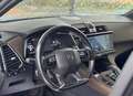 DS Automobiles DS 7 Crossback 2.0BlueHDi Be Chic Aut. Gris - thumbnail 10