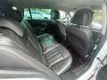 Opel Insignia 2.0CDTi, 2009, 212.735km, FULL OPTION, EXPORT Білий - thumbnail 22