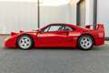Ferrari F40 - Rosso Corsa - Cat / Non Adjust Rot - thumbnail 28