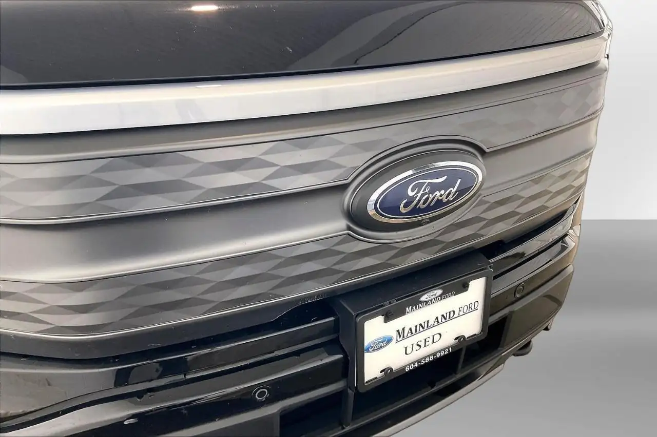 Ford F 150 Lightning fotografie Ford F 150 Lightning