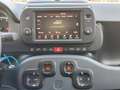 Fiat Panda Panda Cross 1.0 FireFly S&S Hybrid Weiß - thumbnail 11