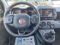 Fiat Panda Panda Cross 1.0 FireFly S&S Hybrid Weiß - thumbnail 9