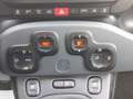 Fiat Panda Panda Cross 1.0 FireFly S&S Hybrid Weiß - thumbnail 13